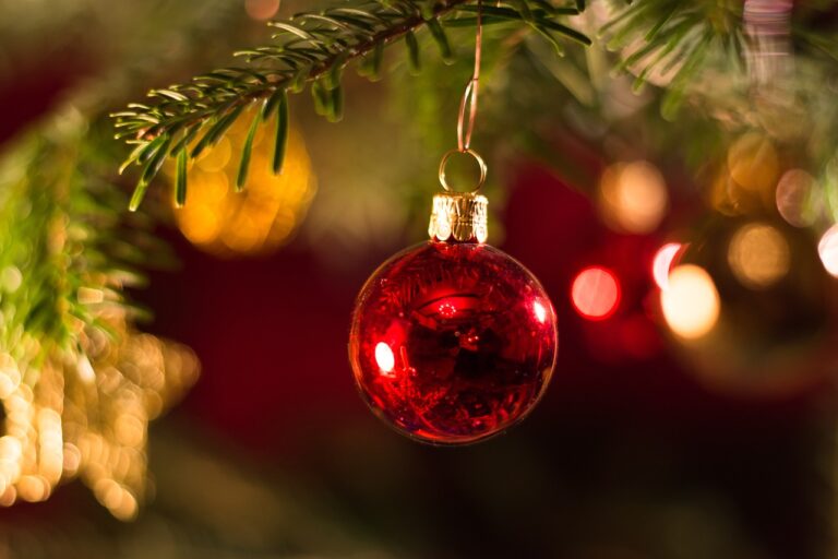 christmas, christmas tree, christmas ball-3809544.jpg